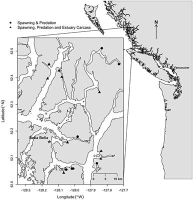 Landscape Structure and Species Interactions Drive the Distribution of Salmon Carcasses in Coastal Watersheds